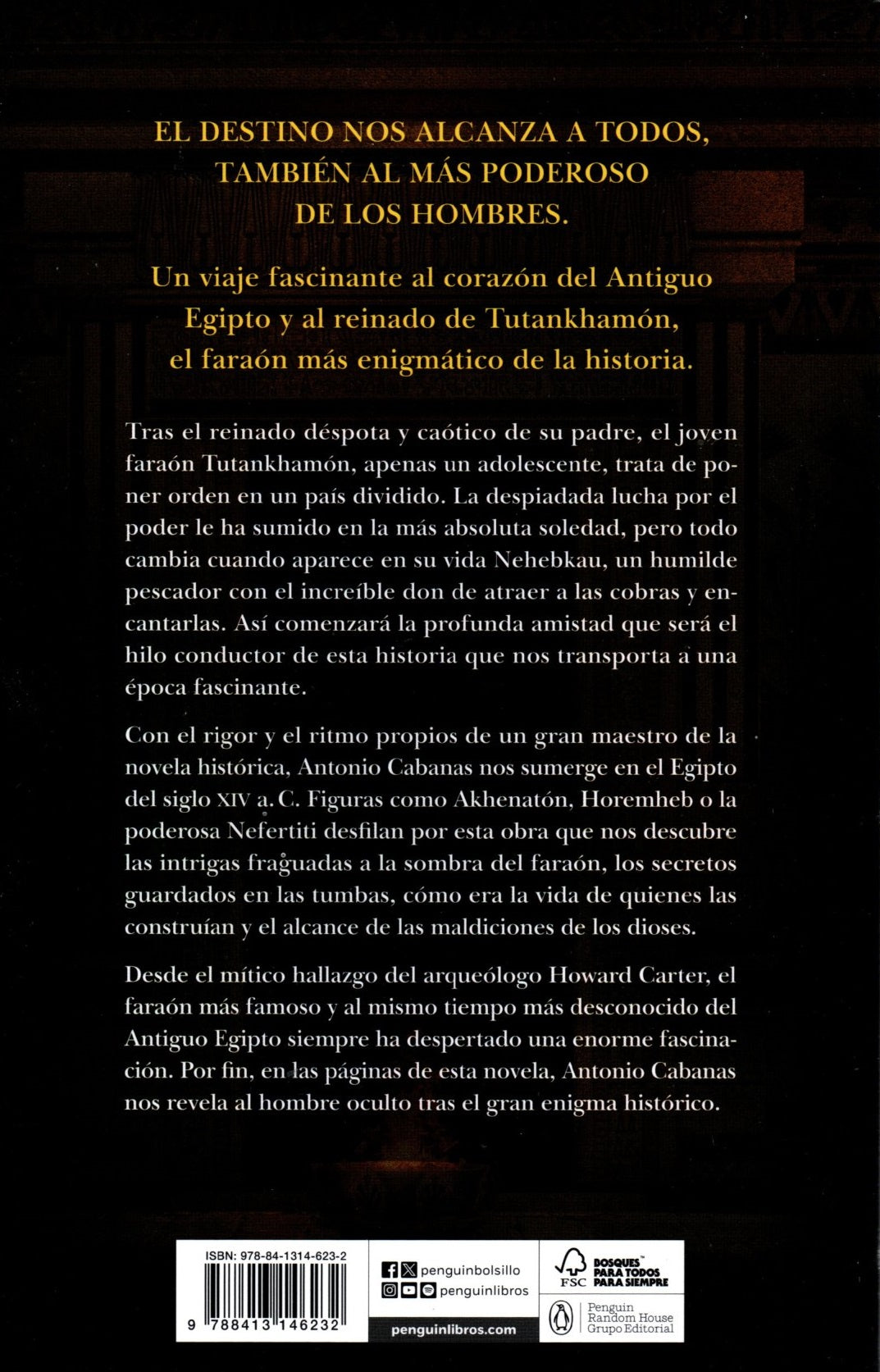 Libro Antonio Cabanas - El sueño de Tutankhamón