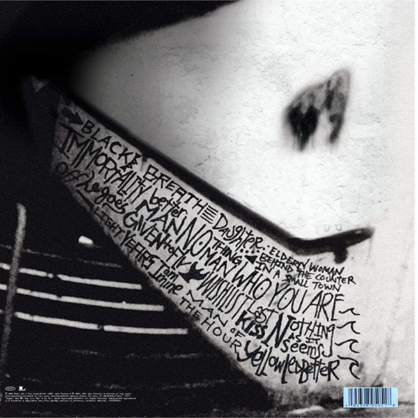 LP X2 Pearl Jam – Rearviewmirror (Greatest Hits 1991-2003: Volume 1)