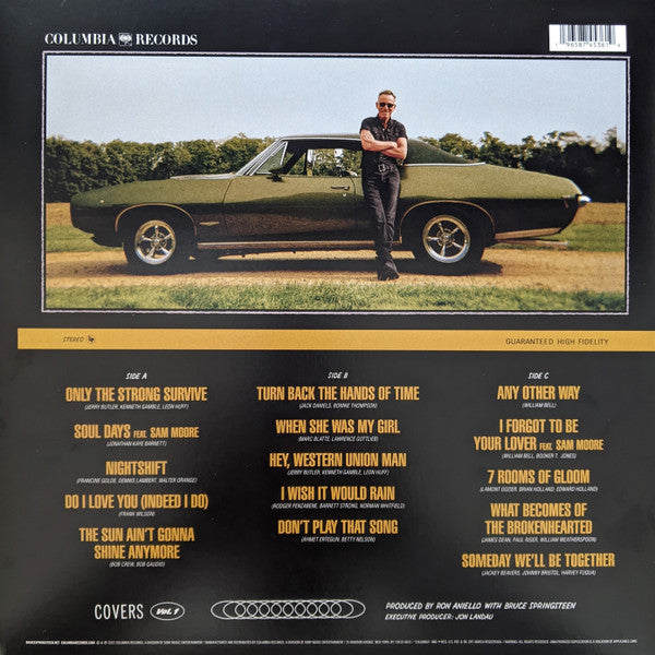 LP Springsteen* – Only The Strong Survive (Covers Vol. 1)
