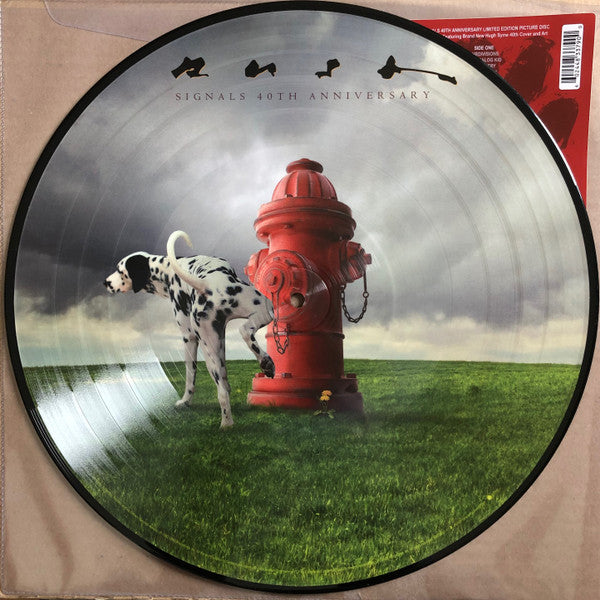 LP Signals - 40 Th Anniversary