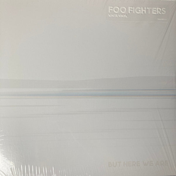 LP Foo Fighters – But Here We Are