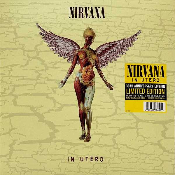 LPx2 Nirvana - In Utero