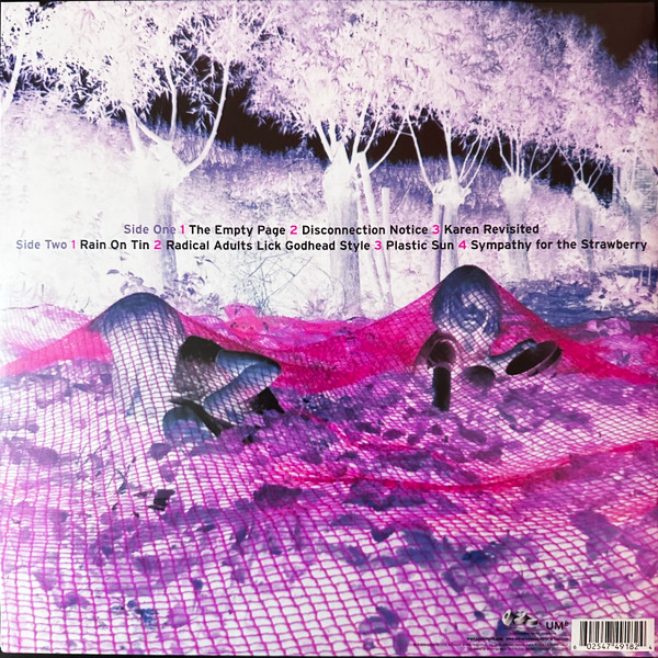 LP Sonic Youth – Murray Street