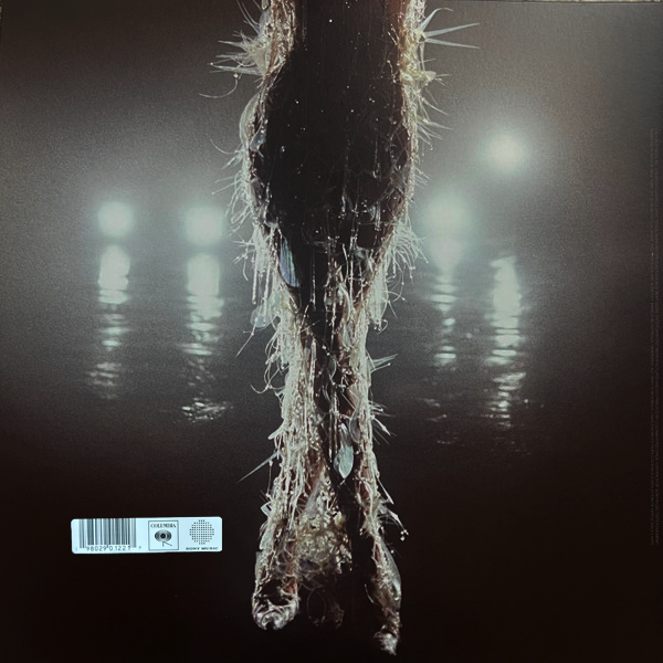 LP Miley Cyrus – Something Beautiful