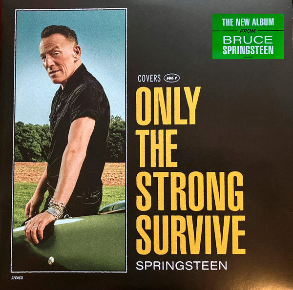 LP Springsteen* – Only The Strong Survive (Covers Vol. 1)