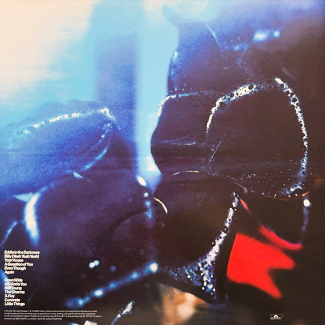 LP Inhaler (12) – Open Wide