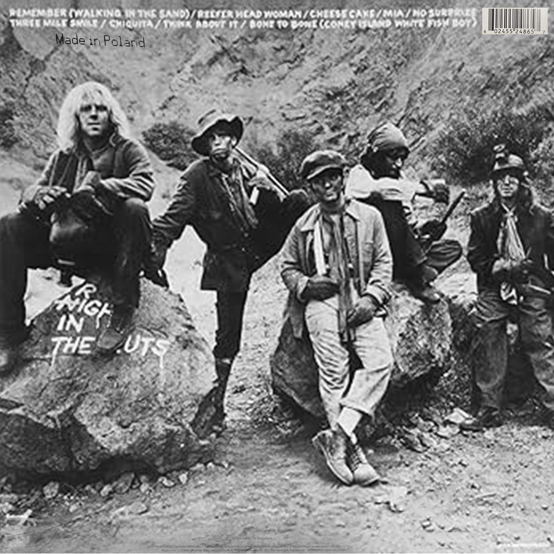 LP Aerosmith – Night In The Ruts