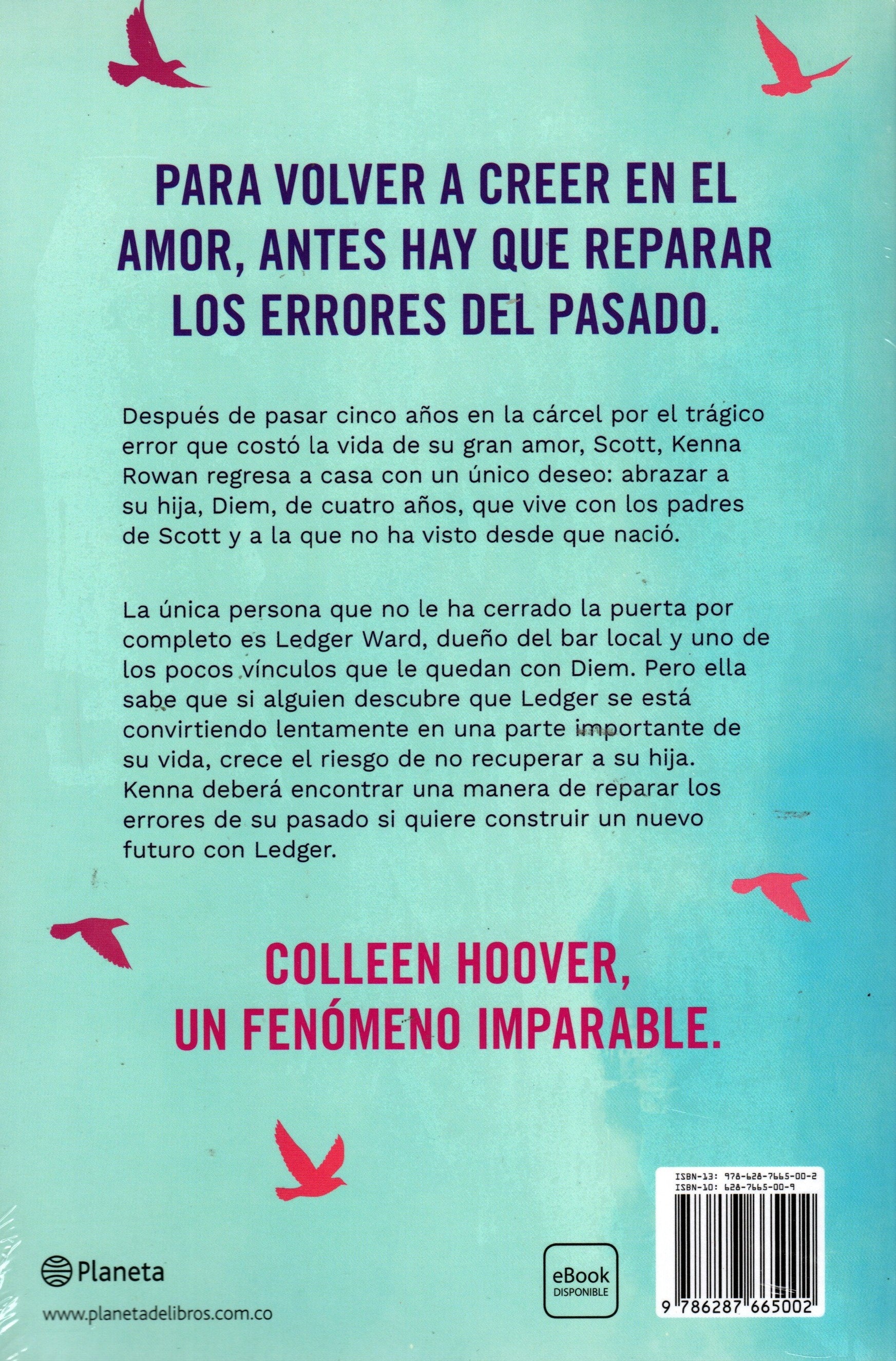 Libro Colleen Hoover - No Te Olvidaré