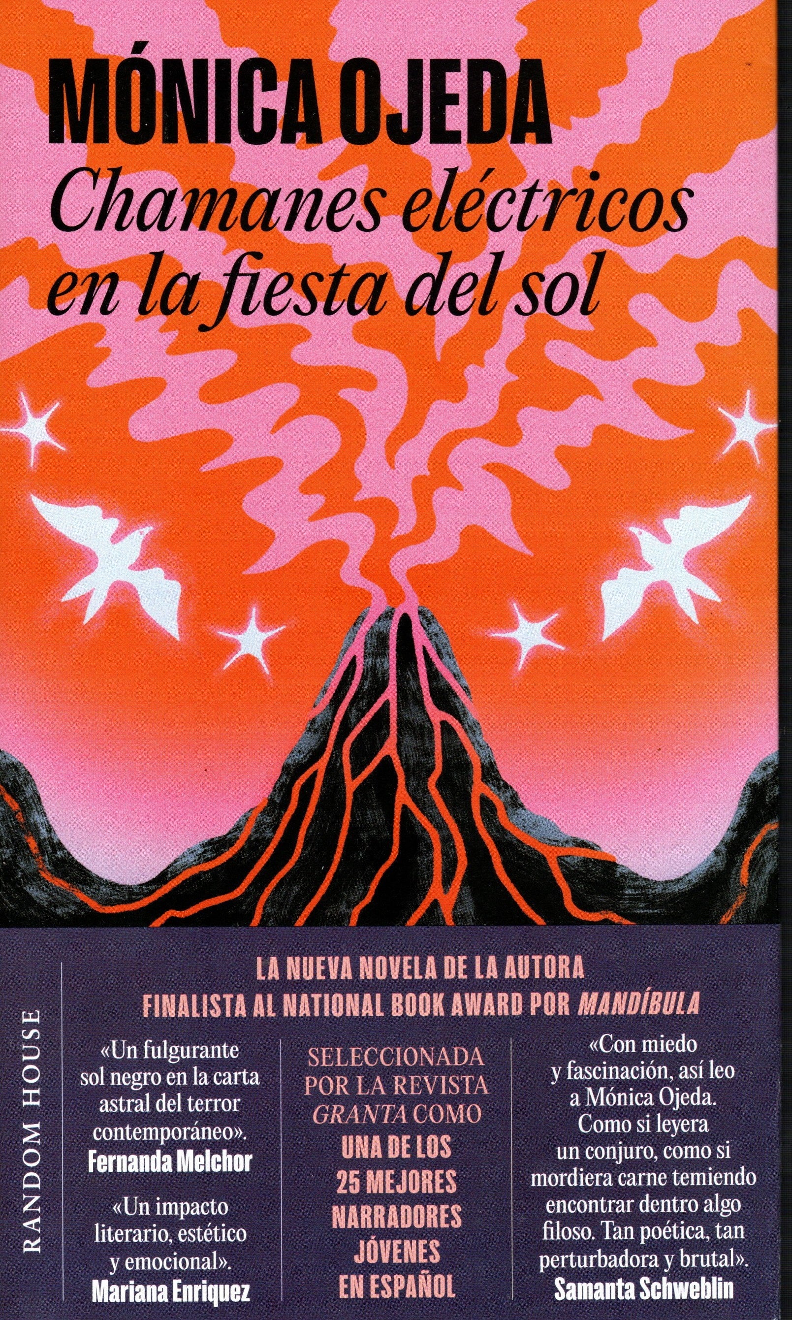 Libro Monica Ojeda - Chamanes eléctricos en la fiesta del sol