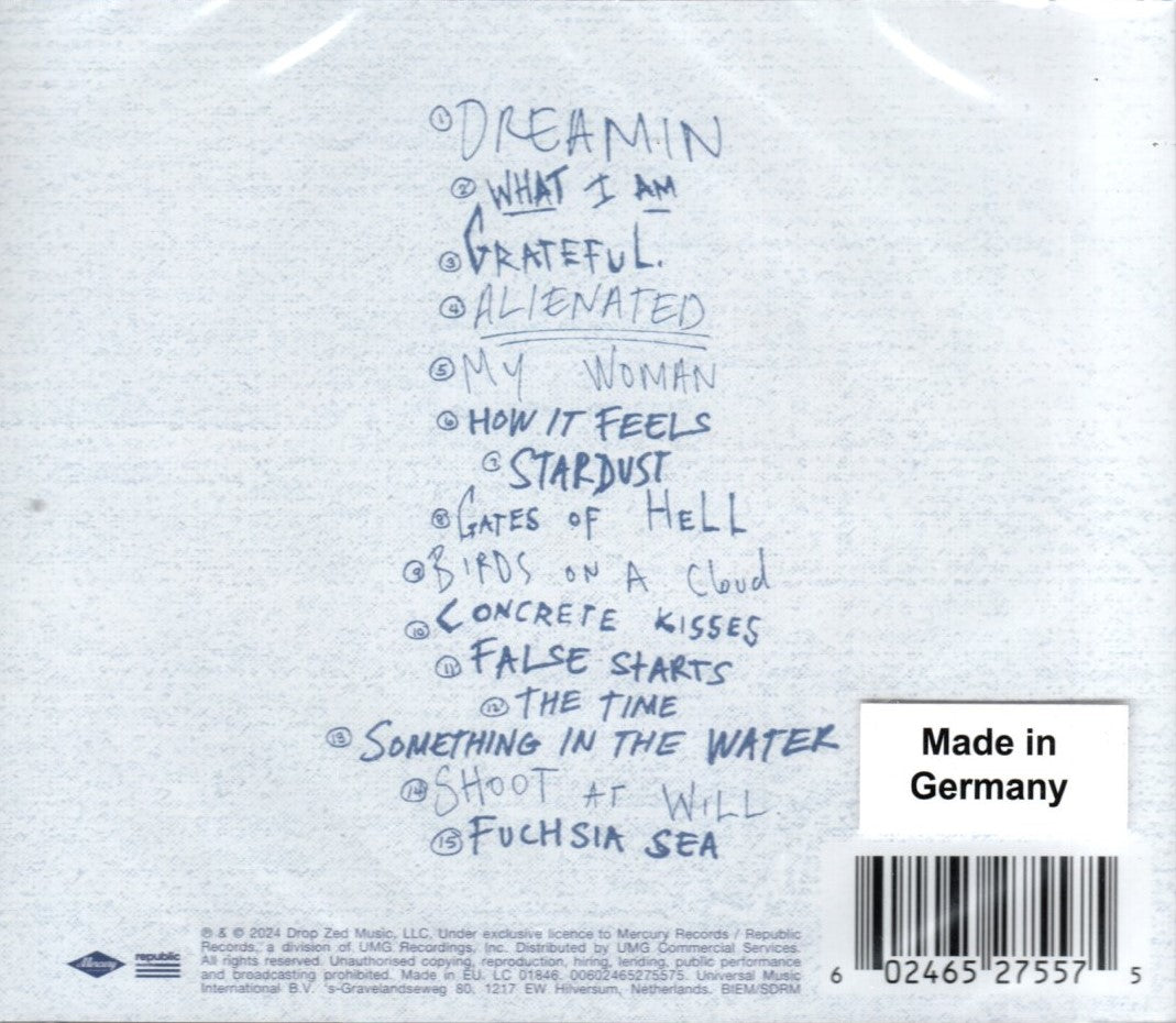 CD ZAYN – Room Under The Stairs