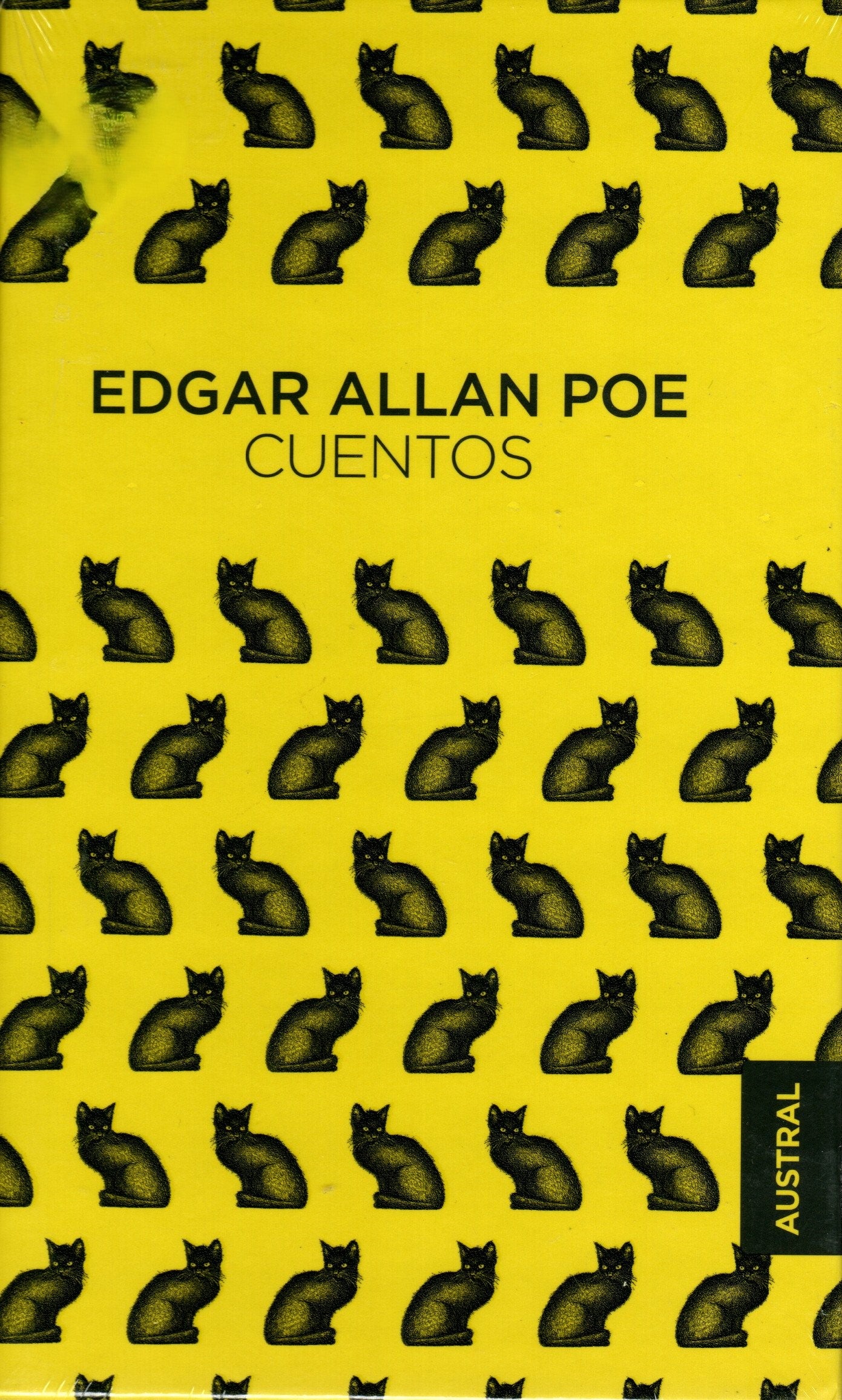 Libro Edgar Allan Poe - Cuentos