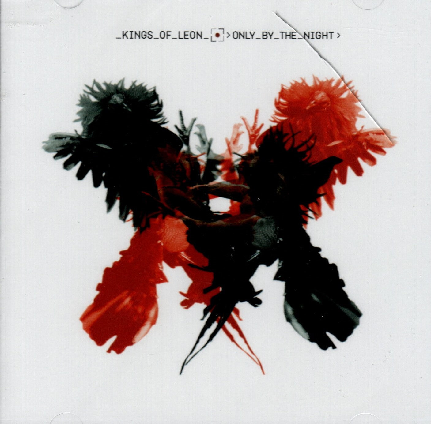 CD Kings Of Leon – Only By The Night