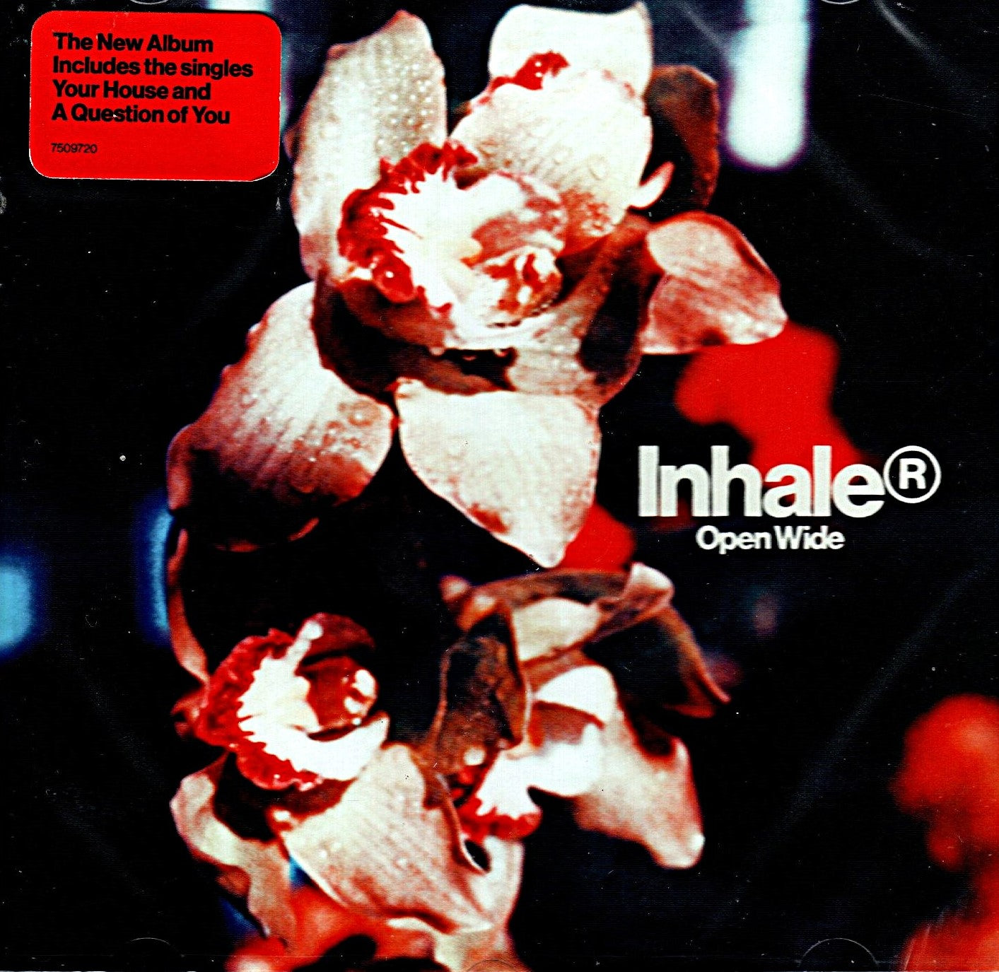 CD Inhaler (12) – Open Wide