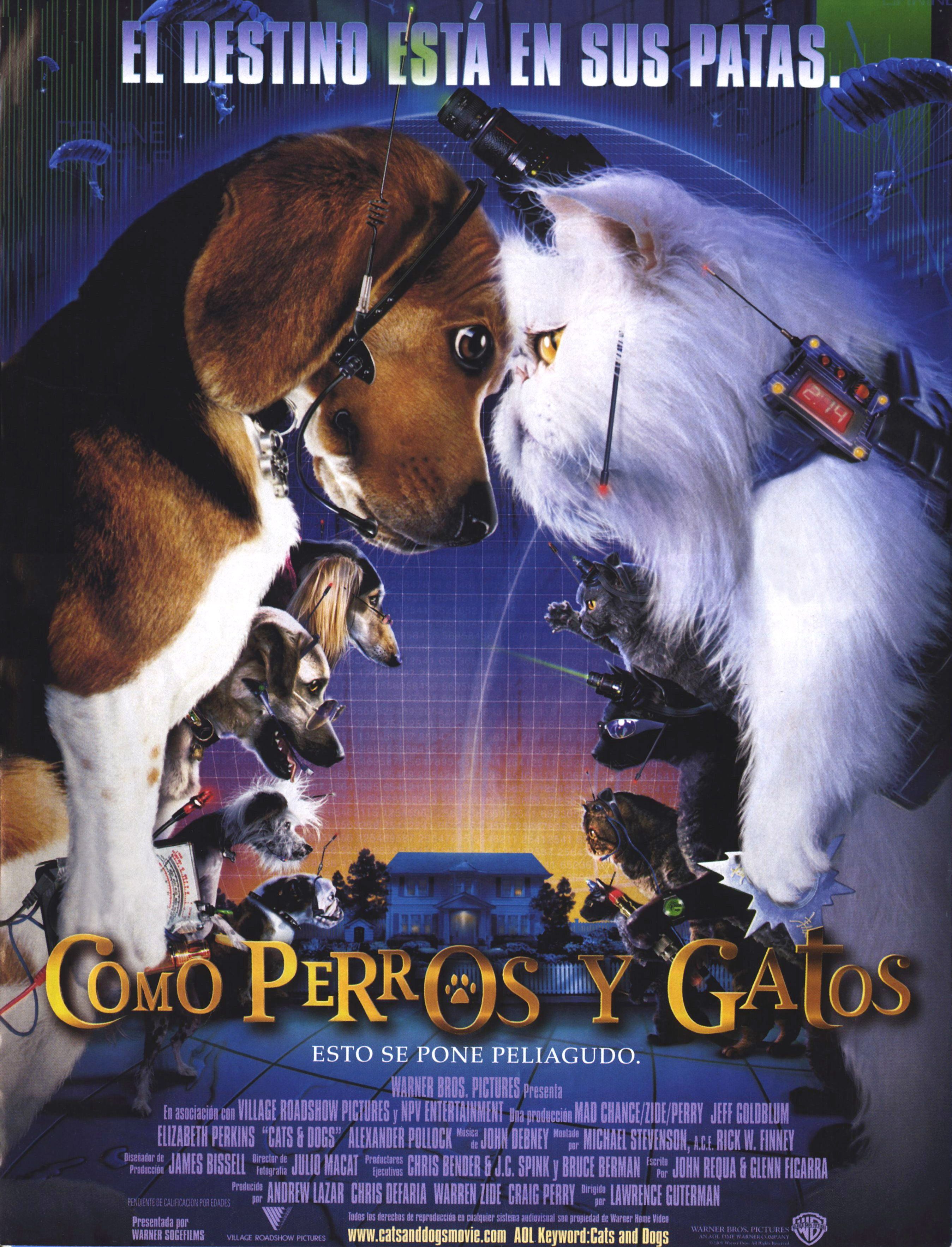 DVD Como perros y gatos