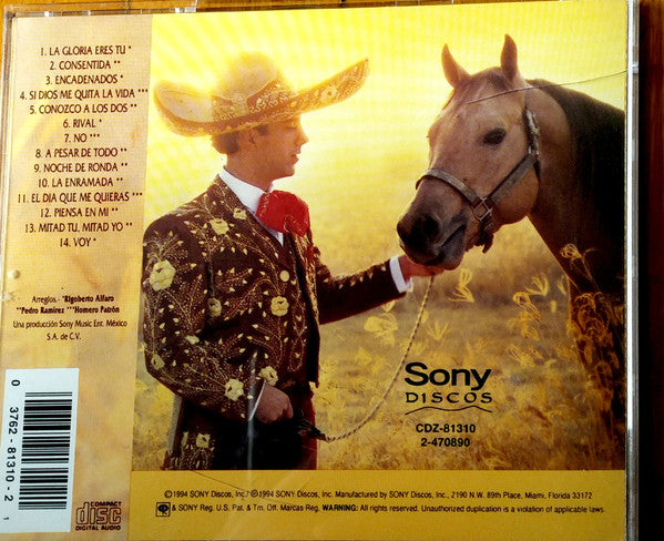 CD Alejandro Fernández - Grandes éxitos