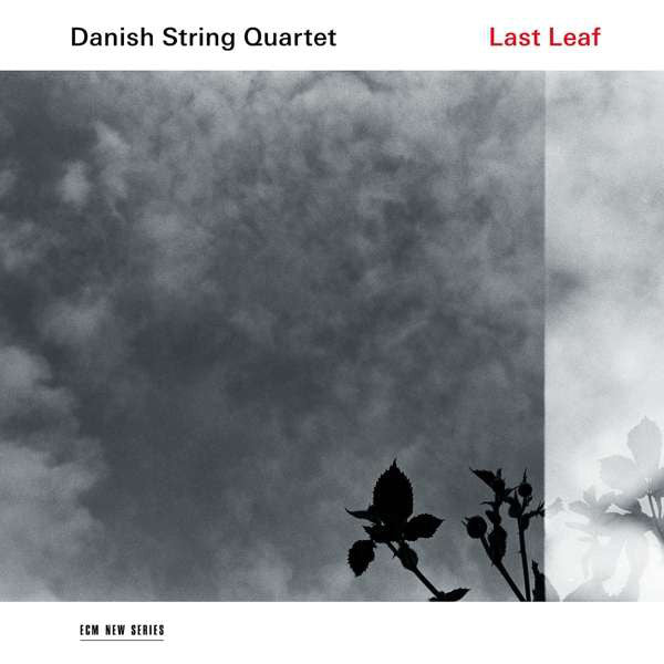 LP Danish String Quartet – Last Leaf
