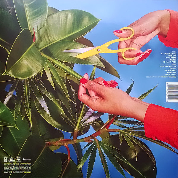 LP Snoop Dogg – Bush