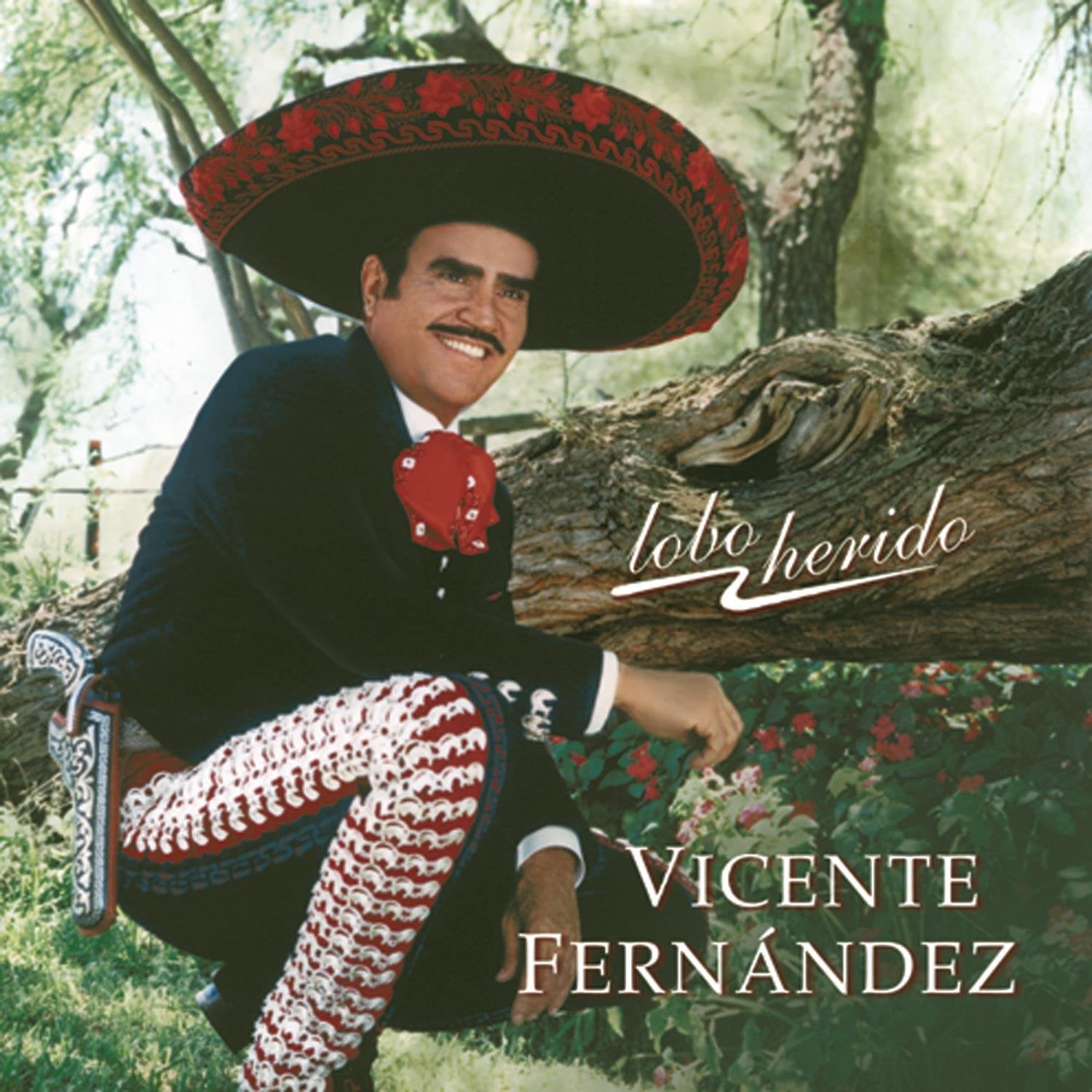 CD Vicente Fernández - Lobo Herido