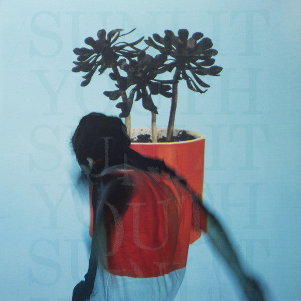 LP Local Natives – Sunlit Youth