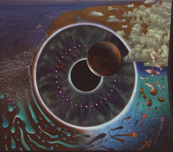 CD X2 Pink Floyd – Pulse