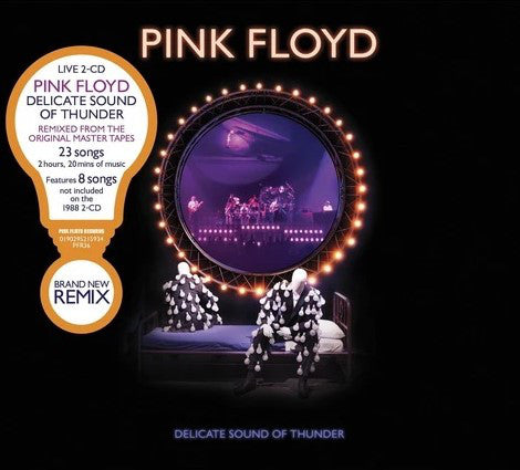 CD X2 Pink Floyd - Delicate Sound Of Thunder
