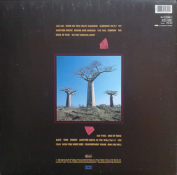 LPX2 PINK FLOYD DELICATE SOUND OF THUNDER