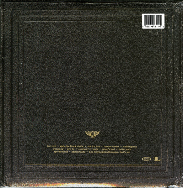 LP X2 Pearl Jam ‎– Vitalogy