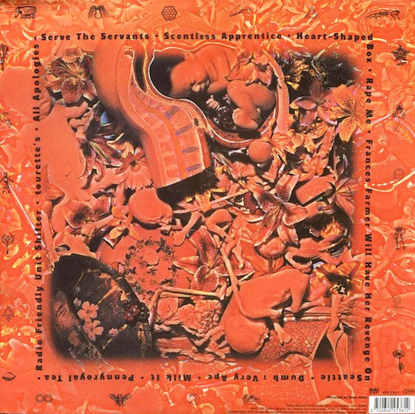 LP Nirvana – In Utero