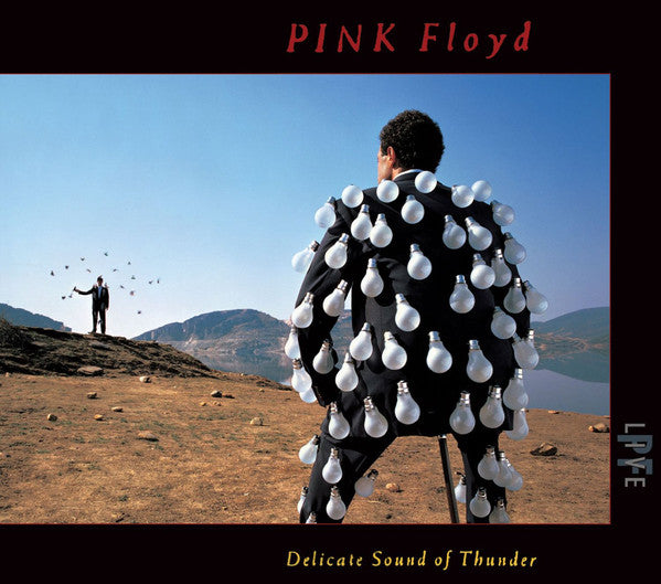 CD X2 Pink Floyd - Delicate Sound Of Thunder