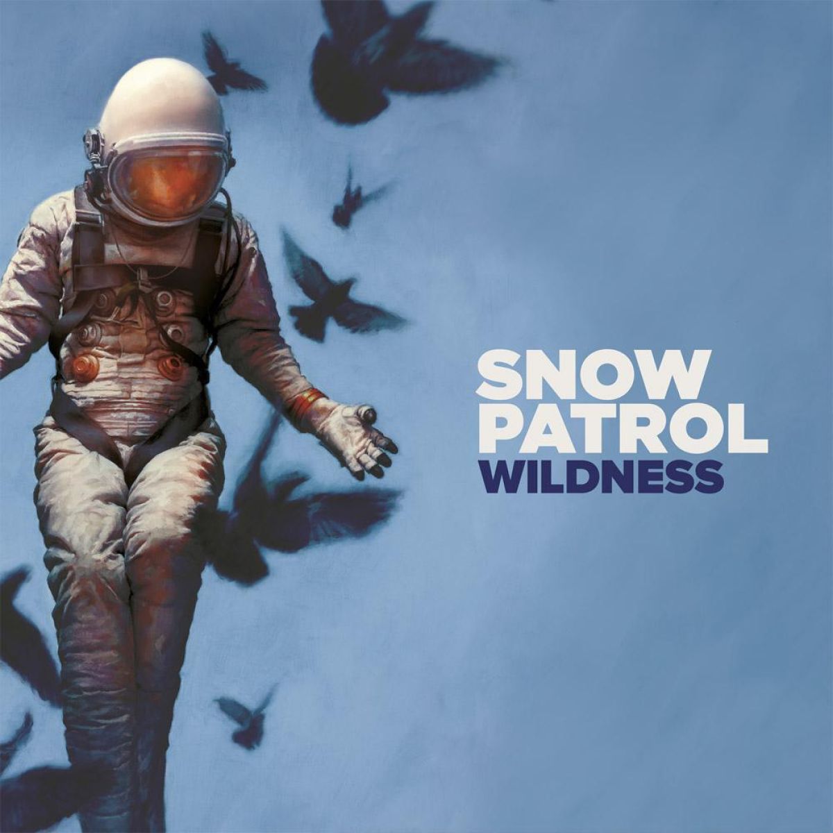 CD Wildness - Snow Patrol