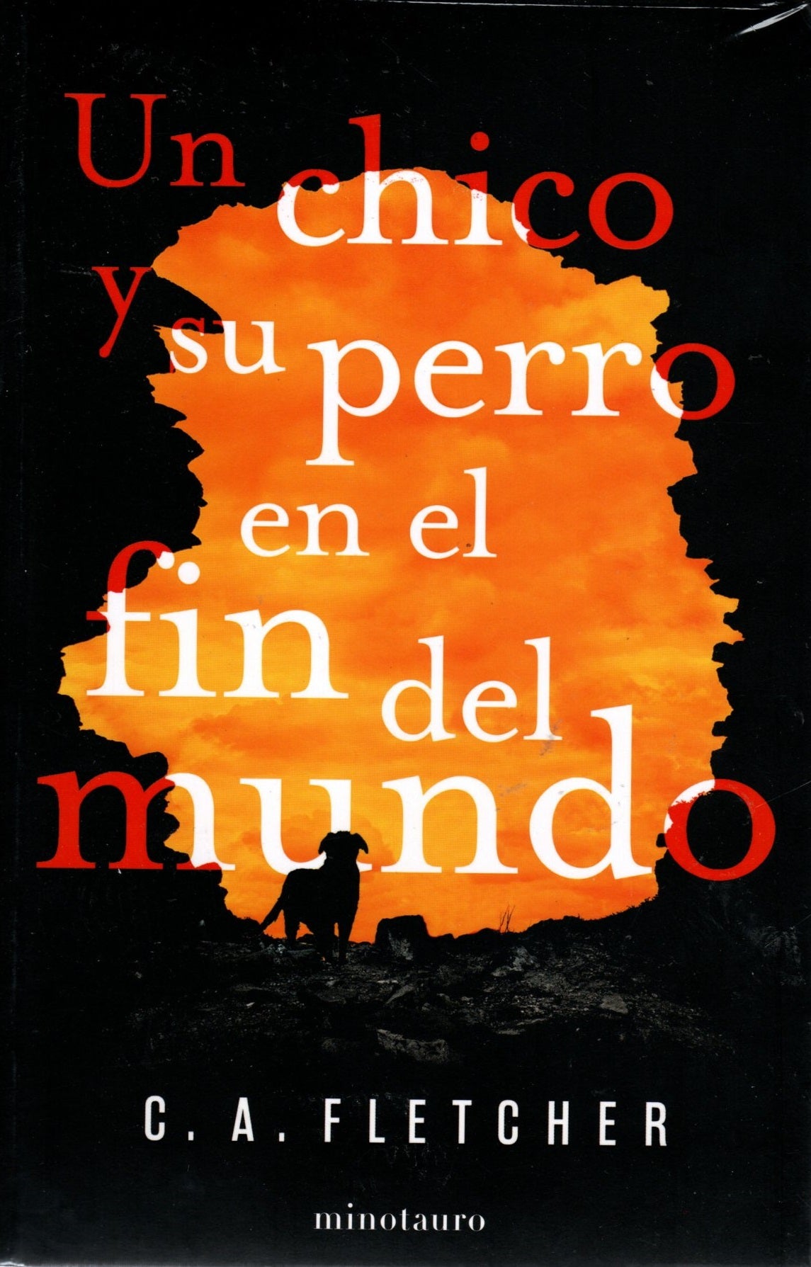 Libro C.A Fletcher - Un Chico Y Su Perro En El Fin Del Mundo