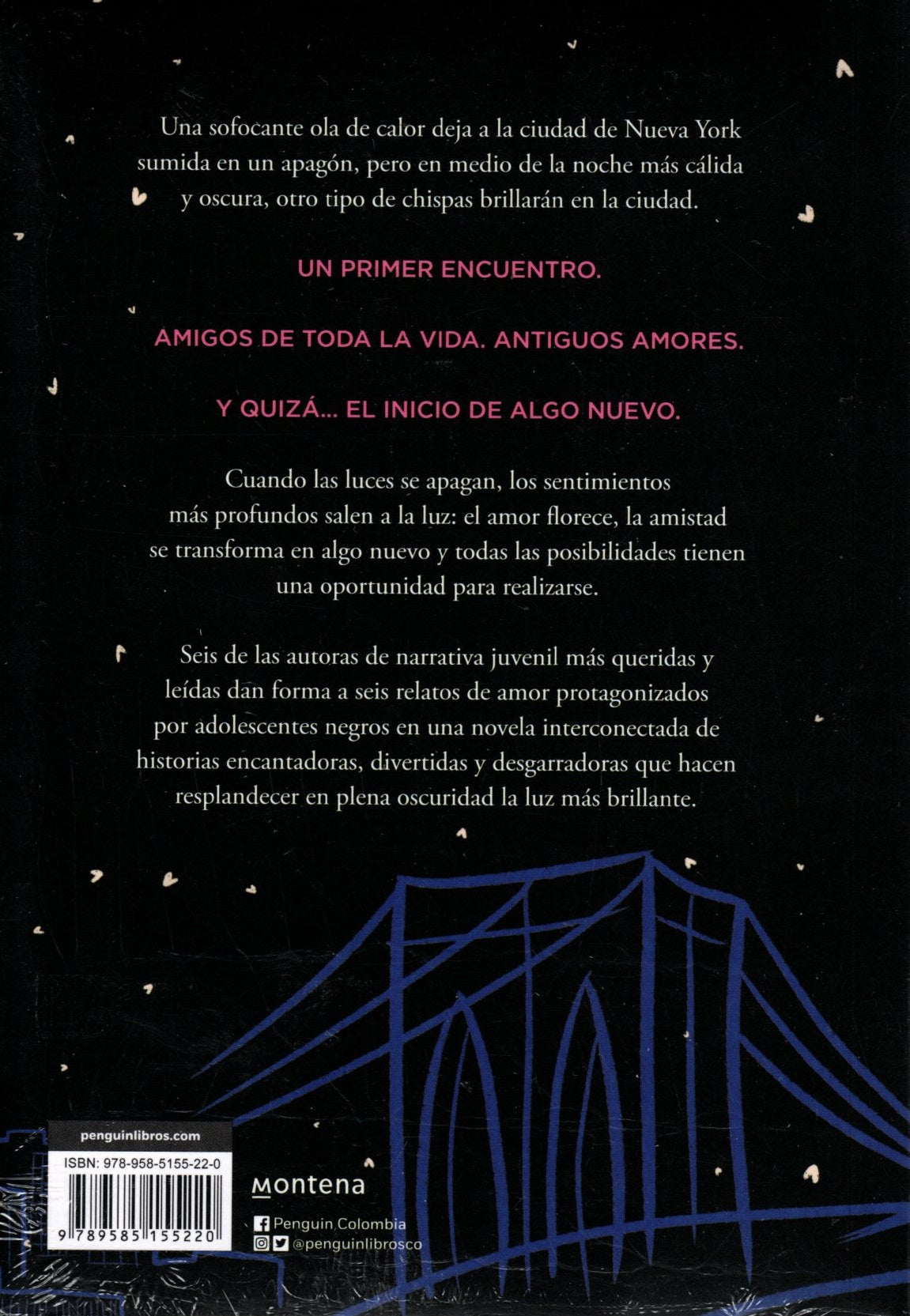 Libro Blackout