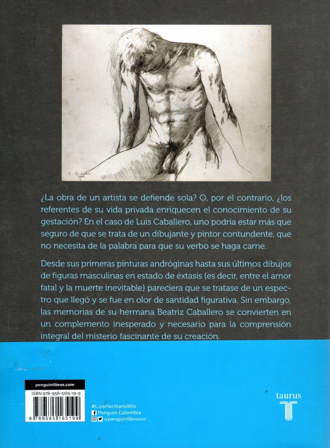 Libro Beatriz Caballero - Luis, Hermano mío