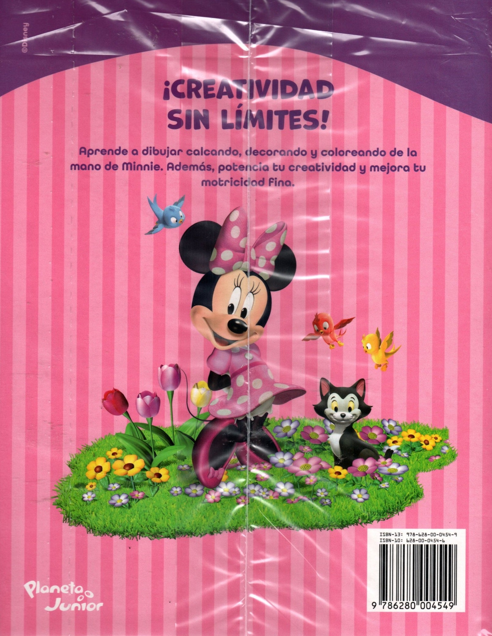 Libro Minnie Disney - Colorea y diviértete
