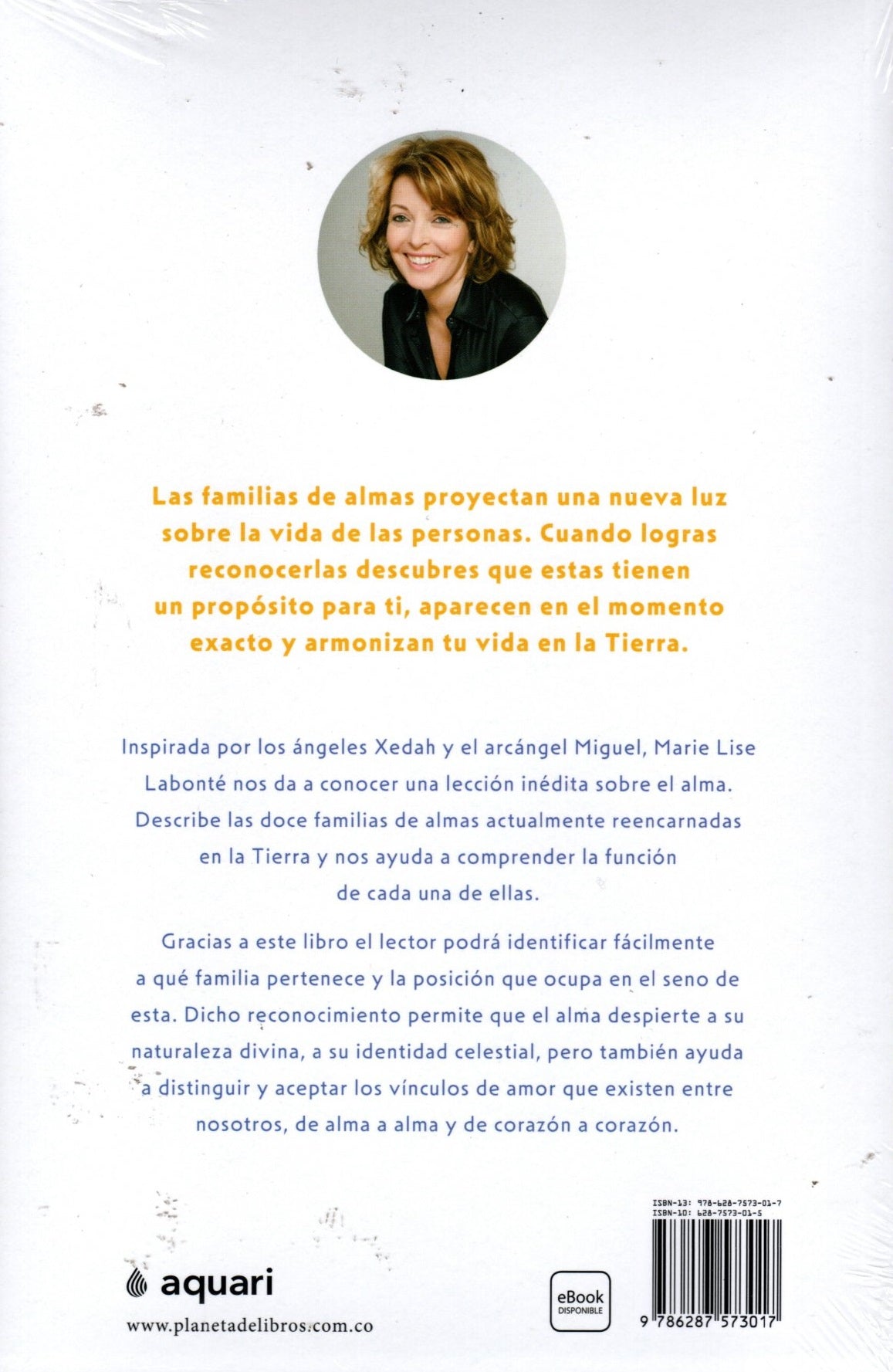 Libro Marie Lise Labonté - Las familias de almas