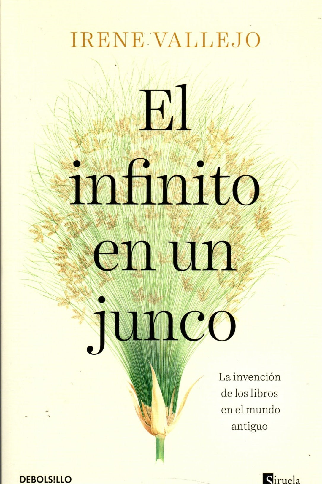 Libro Irene Vallejo - Escuchar fragmento El infinito en un junco