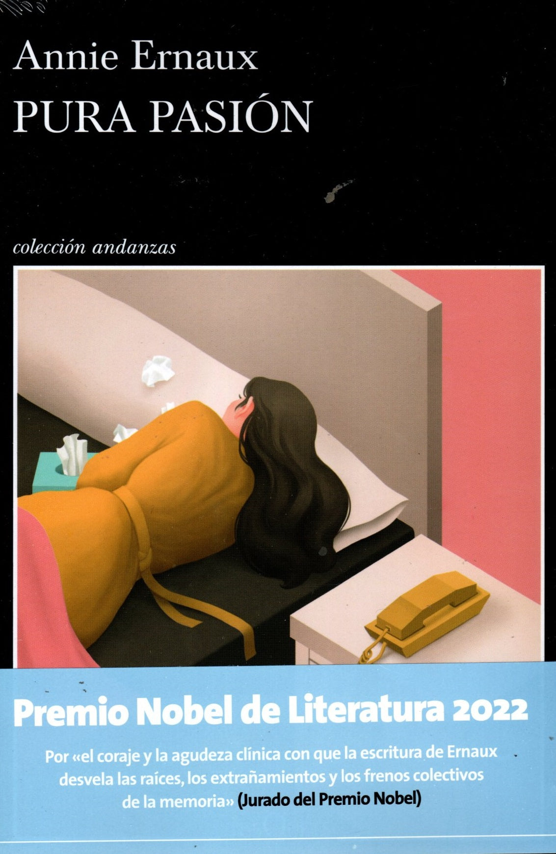 Libro Annie Ernaux - Pura Pasión