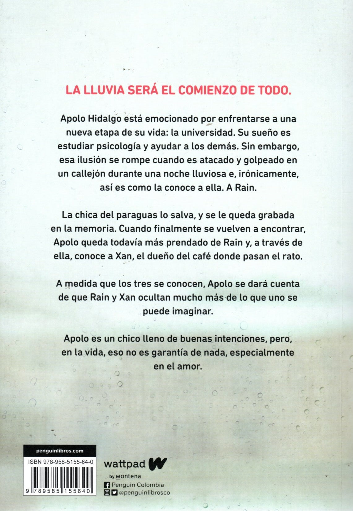 Libro Ariana Godoy - A través de la lluvia