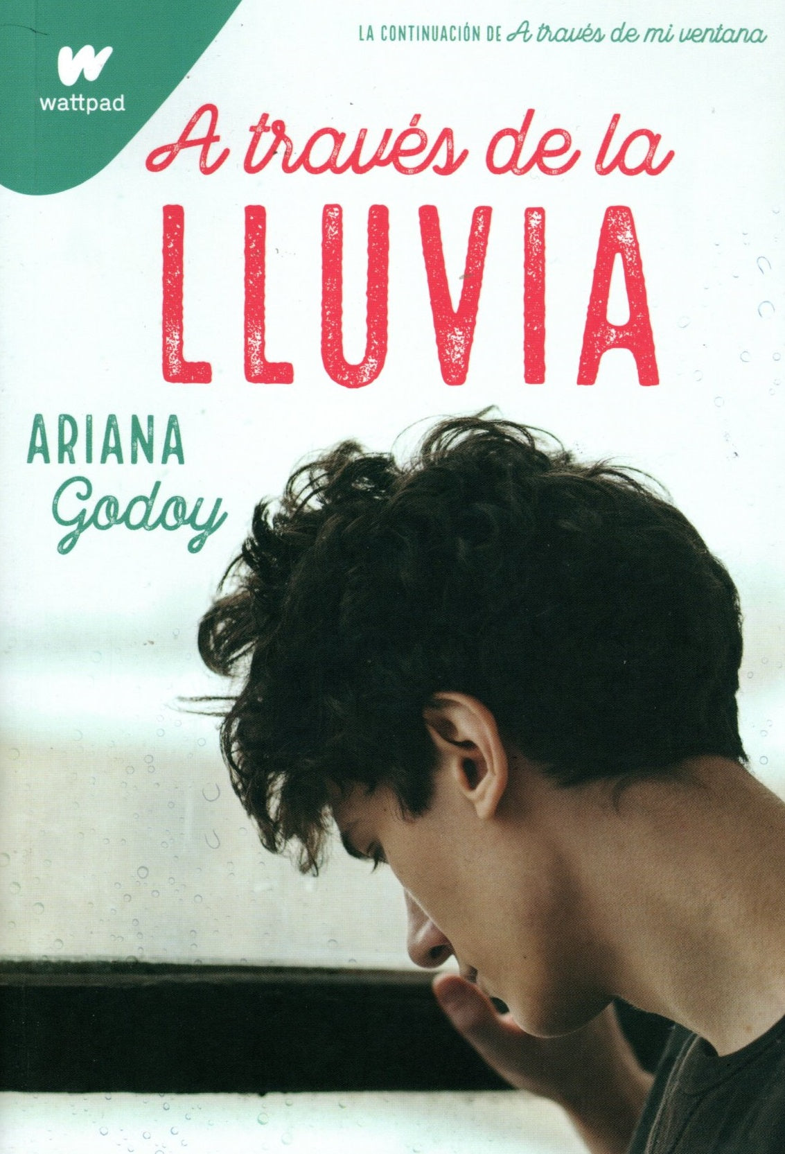 Libro Ariana Godoy - A través de la lluvia
