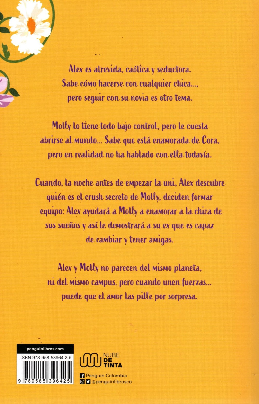 Libro Alyson Derrick/ Rachael Lippincott - Chica Conoce Chica