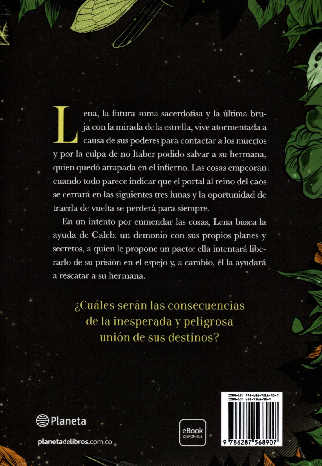 Libro Raiza Revelles - El Reflejo De La Bruja