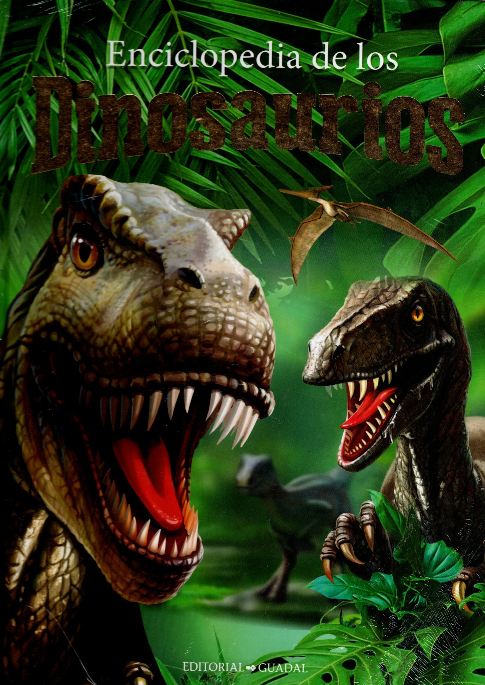 Libro Enciclopedia De Dinosaurios