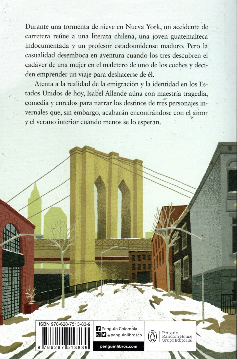 Libro Isabel Allende - Más Allá Del Invierno