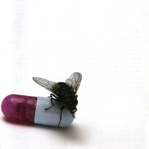 CD Red Hot Chili Peppers – I'm With You