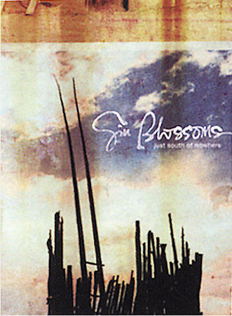 DVD Gin Blossoms - Just South Of Nowhere