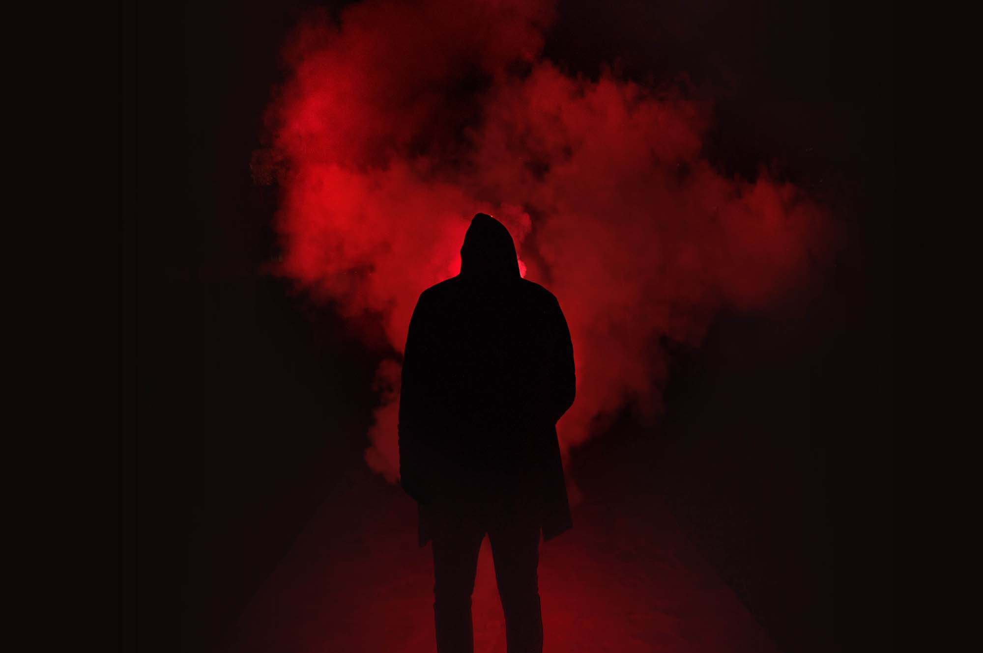 Blu-Rays - Terror