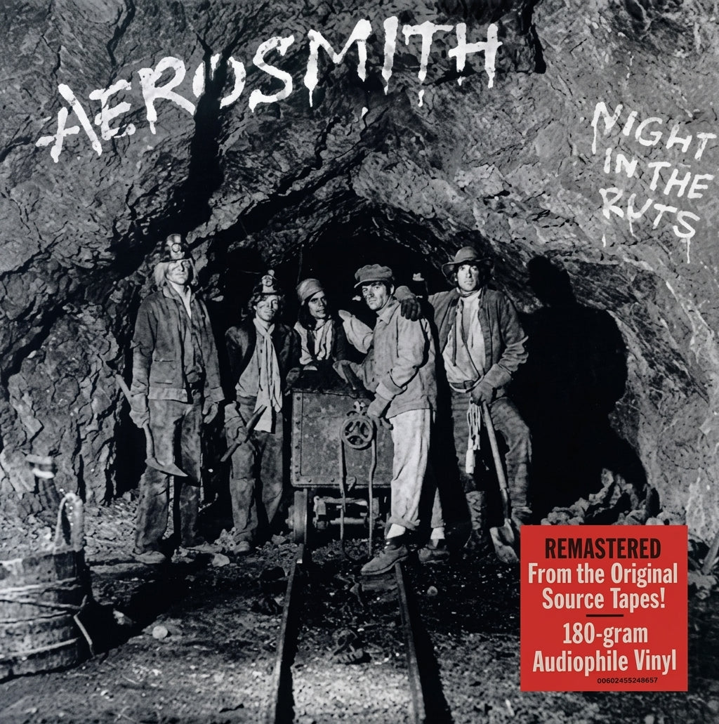 LP Aerosmith – Night In The Ruts
