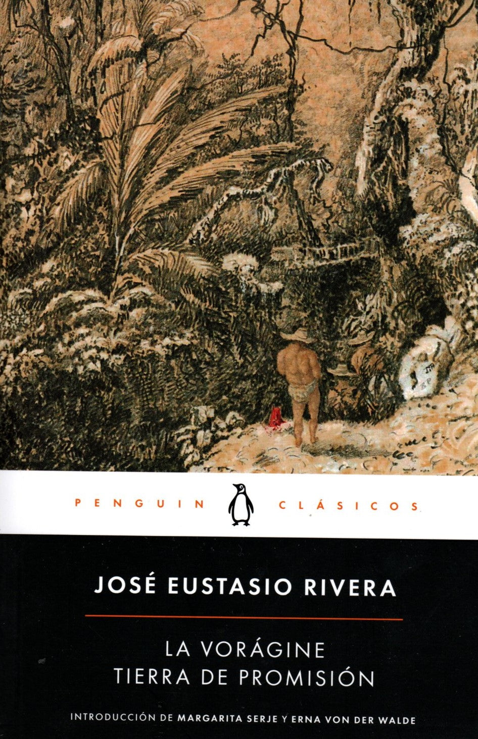 Libro José Eustasio Rivera - La vorágine/ Tierra de promisión