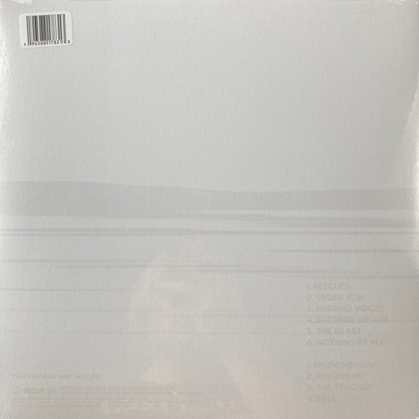 LP Foo Fighters – But Here We Are