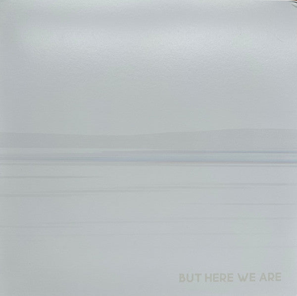 LP Foo Fighters – But Here We Are